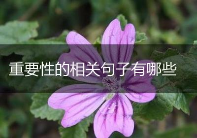 重要性的相关句子有哪些