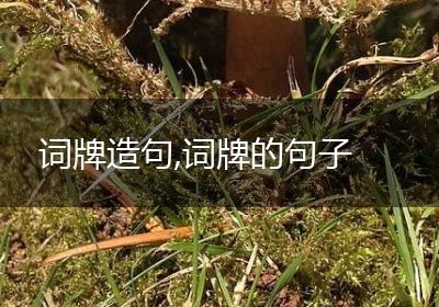 词牌造句,词牌的句子