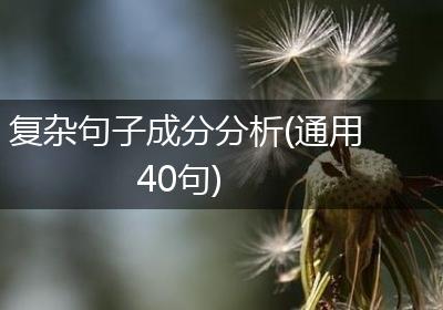 复杂句子成分分析(通用40句)