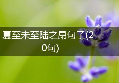夏至未至陆之昂句子(20句)