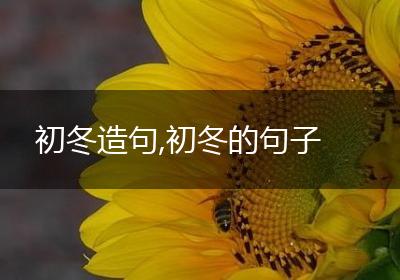 初冬造句,初冬的句子