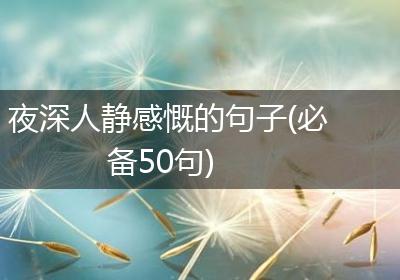 夜深人静感慨的句子(必备50句)