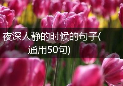 夜深人静的时候的句子(通用50句)