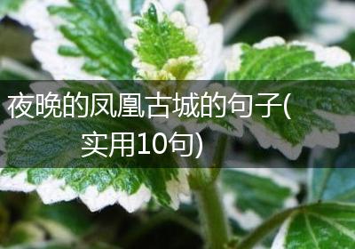 夜晚的凤凰古城的句子(实用10句)