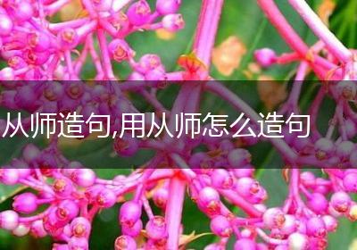 从师造句,用从师怎么造句