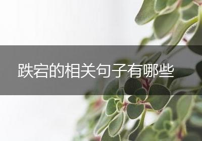 跌宕的相关句子有哪些