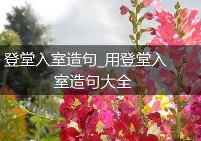 登堂入室造句_用登堂入室造句大全