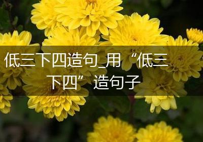 低三下四造句_用“低三下四”造句子