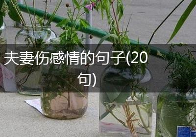 夫妻伤感情的句子(20句)