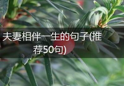 夫妻相伴一生的句子(推荐50句)