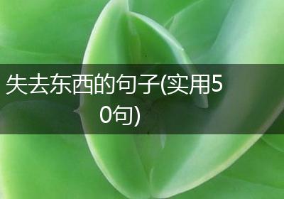 失去东西的句子(实用50句)