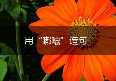 用“嘟囔”造句