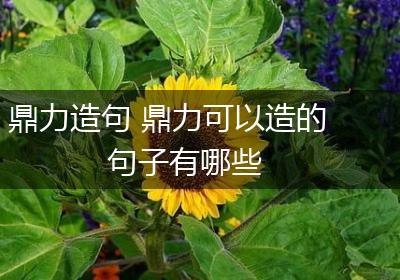 鼎力造句 鼎力可以造的句子有哪些