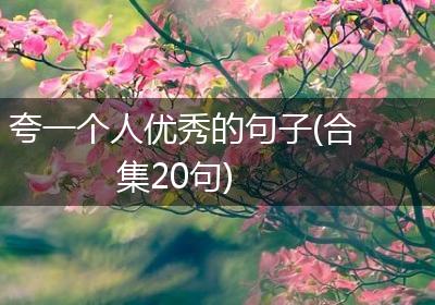 夸一个人优秀的句子(合集20句)