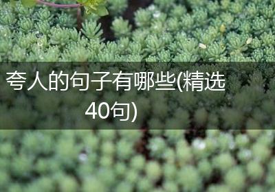夸人的句子有哪些(精选40句)