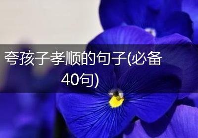 夸孩子孝顺的句子(必备40句)