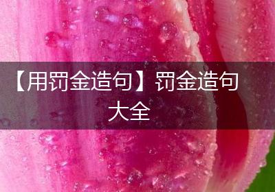 【用罚金造句】罚金造句大全
