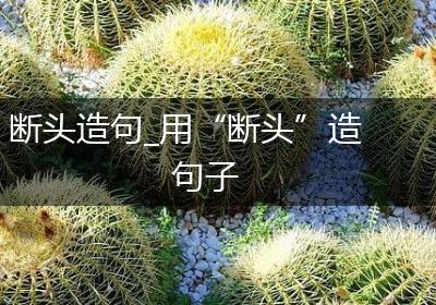 断头造句_用“断头”造句子