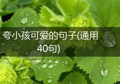 夸小孩可爱的句子(通用40句)