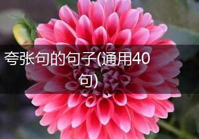 夸张句的句子(通用40句)