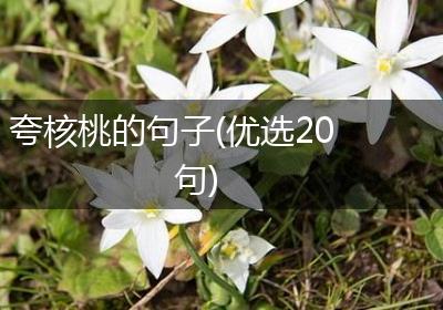 夸核桃的句子(优选20句)