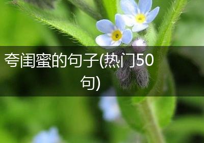 夸闺蜜的句子(热门50句)