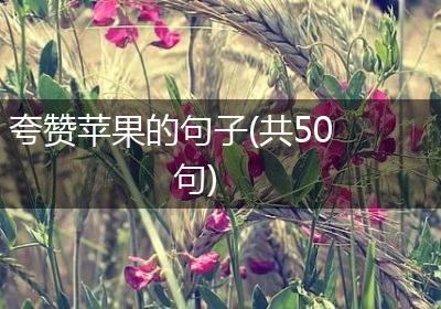 夸赞苹果的句子(共50句)