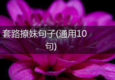 套路撩妹句子(通用10句)