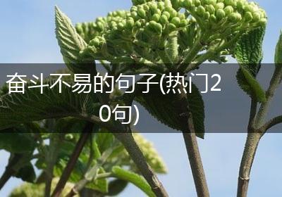 奋斗不易的句子(热门20句)