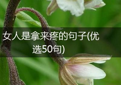 女人是拿来疼的句子(优选50句)