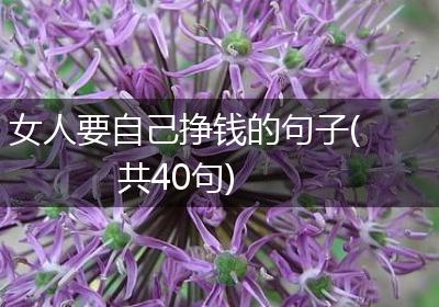 女人要自己挣钱的句子(共40句)