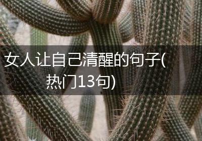 女人让自己清醒的句子(热门13句)