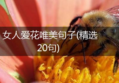 女人爱花唯美句子(精选20句)