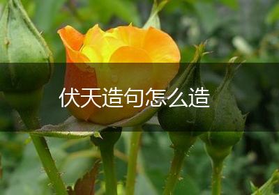 伏天造句怎么造