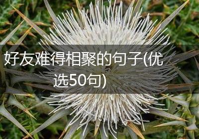 好友难得相聚的句子(优选50句)
