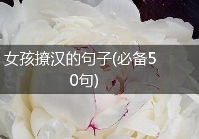 女孩撩汉的句子(必备50句)
