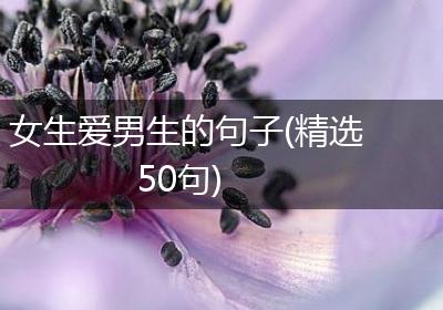 女生爱男生的句子(精选50句)
