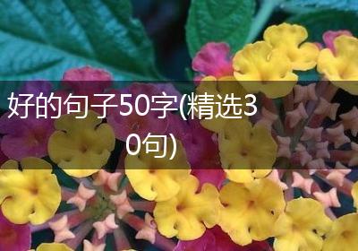 好的句子50字(精选30句)