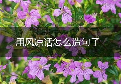 用风凉话怎么造句子
