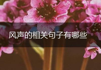 风声的相关句子有哪些