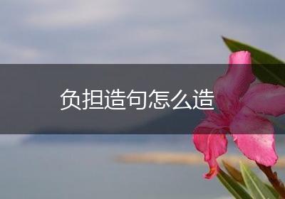 负担造句怎么造