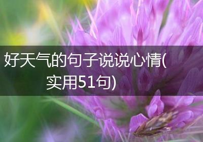 好天气的句子说说心情(实用51句)