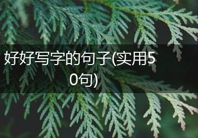 好好写字的句子(实用50句)