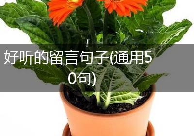 好听的留言句子(通用50句)