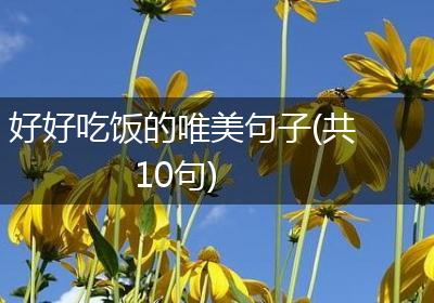 好好吃饭的唯美句子(共10句)