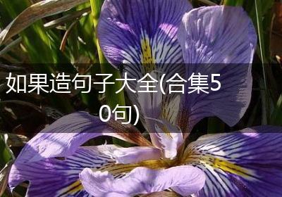 如果造句子大全(合集50句)