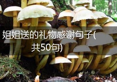 姐姐送的礼物感谢句子(共50句)