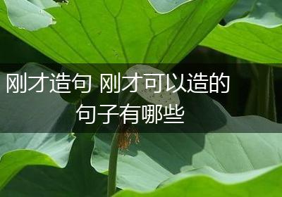 刚才造句 刚才可以造的句子有哪些