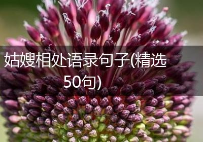 姑嫂相处语录句子(精选50句)