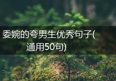 委婉的夸男生优秀句子(通用50句)
